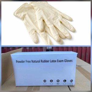 Latex Gloves (Box of 100)